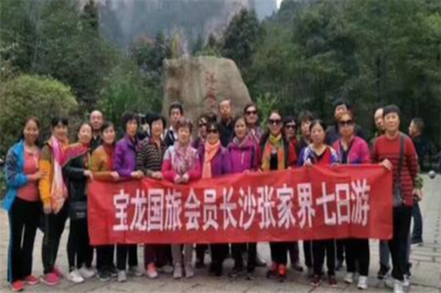 寶龍國際旅行社 開啟您的精彩旅程，專業旅游服務的不二之選